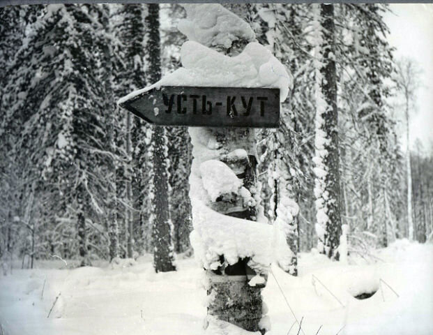 post-19416 thumbnail