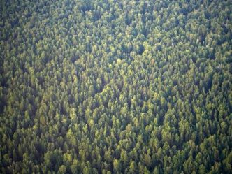 post-15049 thumbnail