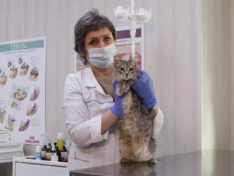 post-17679 thumbnail