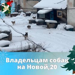 post-18745 thumbnail