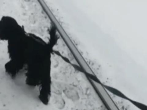 post-20414 thumbnail