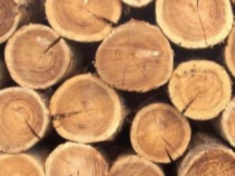 post-20525 thumbnail