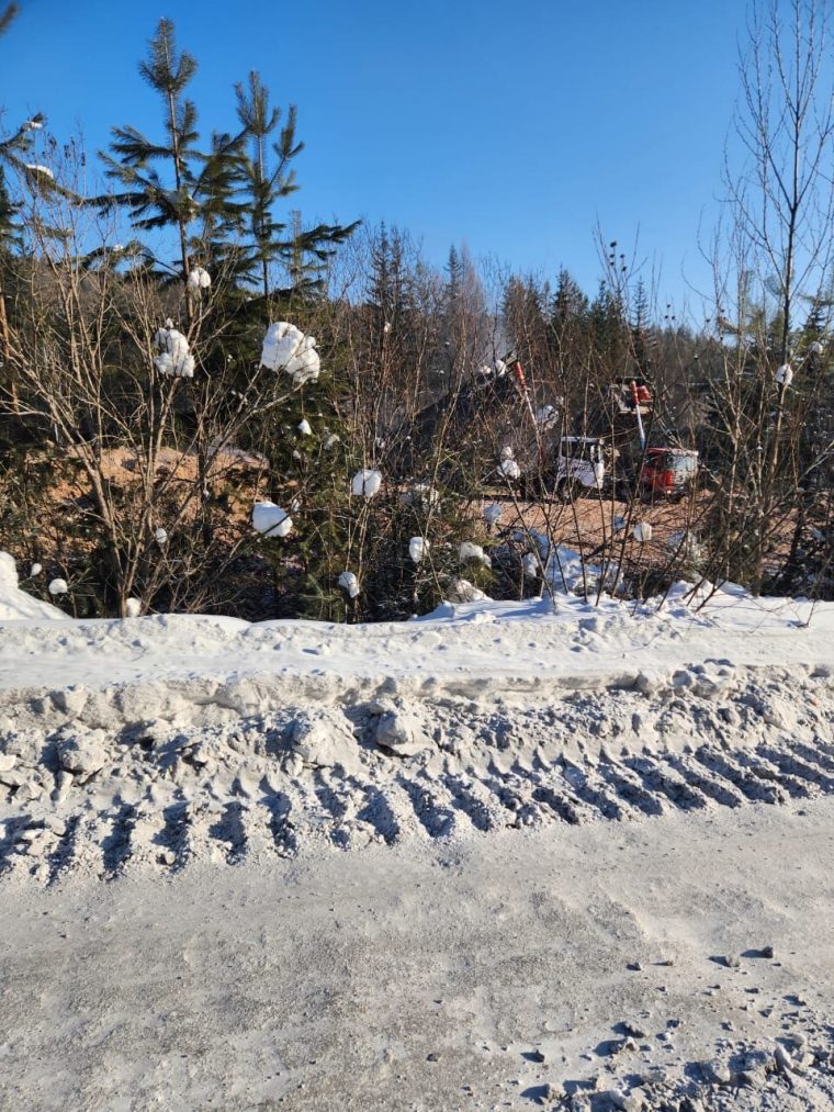 post-22709 thumbnail