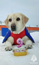 post-20944 thumbnail