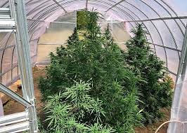 post-21003 thumbnail