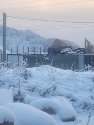 post-21384 thumbnail