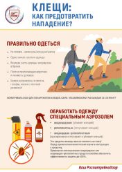 post-22906 thumbnail