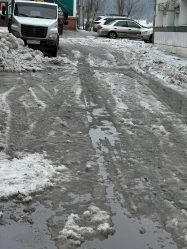 post-22529 thumbnail