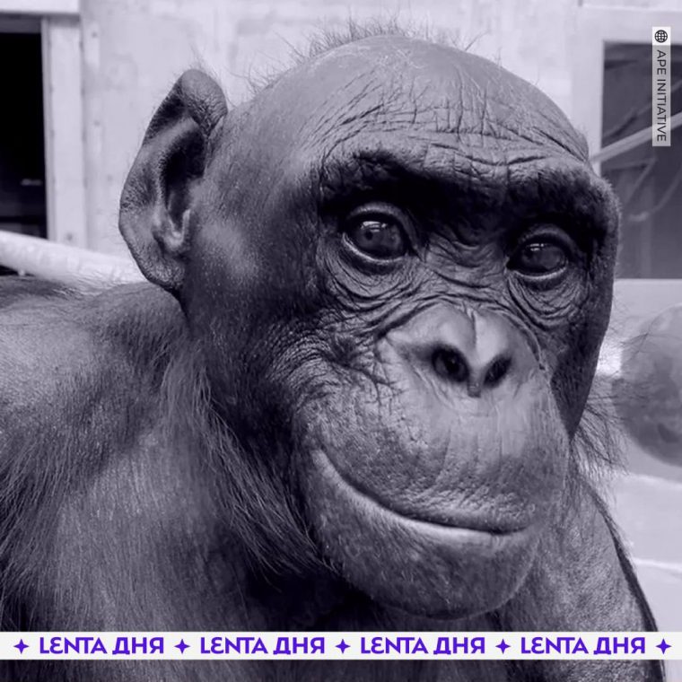 post-22612 thumbnail