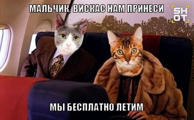 post-22801 thumbnail