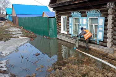 post-22556 thumbnail