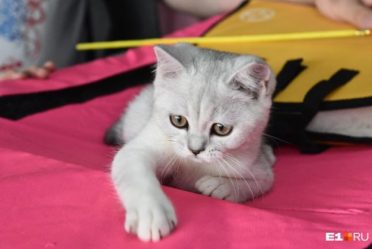 post-27870 thumbnail