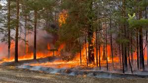 post-27544 thumbnail