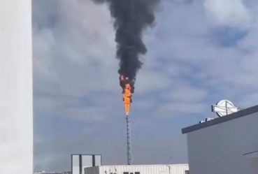 post-31111 thumbnail