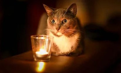 post-31379 thumbnail