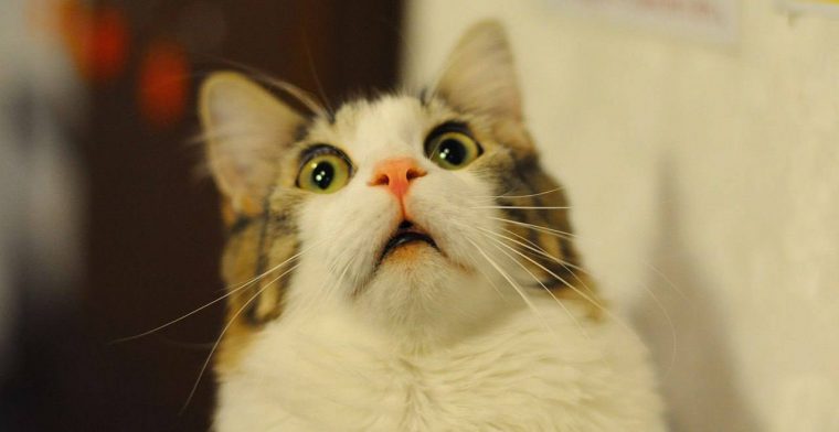 post-32301 thumbnail