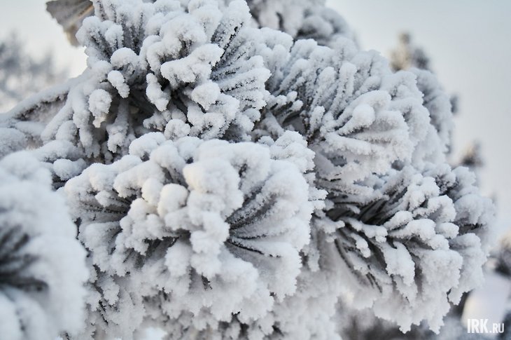 post-32806 thumbnail